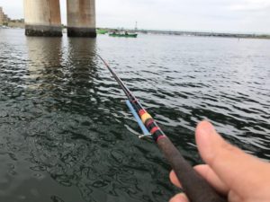江戸川のボートハゼ釣り
